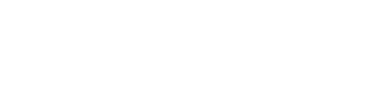 Curso ADN Cuántico
